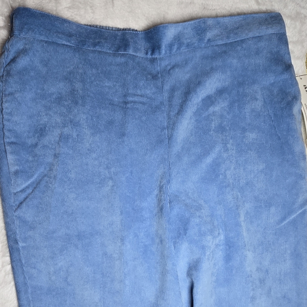 Alfred Dunner Womens Pants Powder Blue Corduroy Classic Fit Pull On Size 8P - Picture 6 of 16